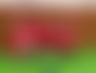 Házenkářské Vánoce