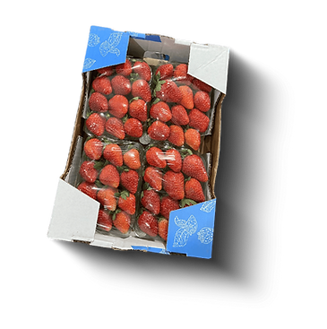 MORANGOS COMERCIAL IN NATURA