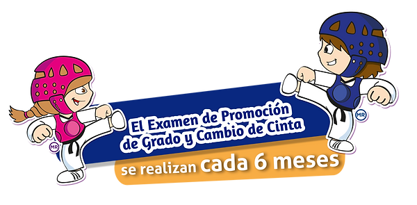 examen promocion-02.png