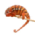 Fotolia_7877170_XL.jpg