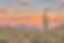 Sunset in the Sonoran Desert near Phoenix, Arizona_edited.jpg