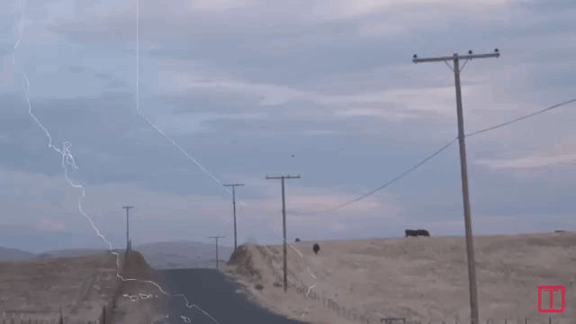 Stories from the Central Valley | Adam G Perez