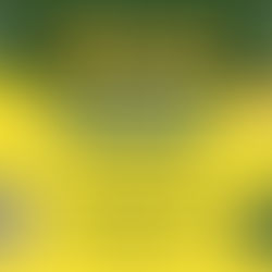 Hustle Fest 2026 in Clayton County Helps Teens Launch Business Ideas