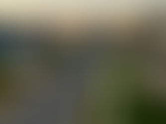 What Georgia Residents Can Do When They Have an HOA