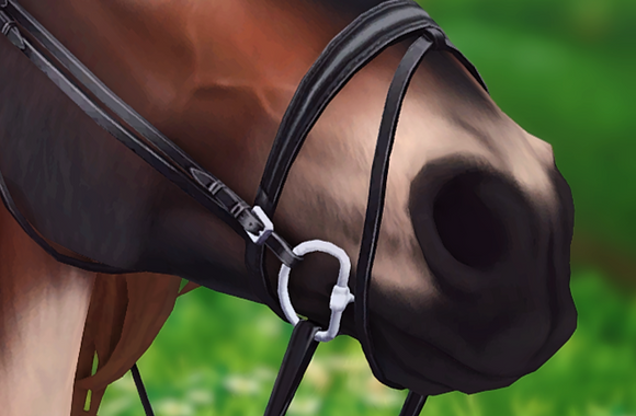 StarStable 2024-01-11 13-26-33.png