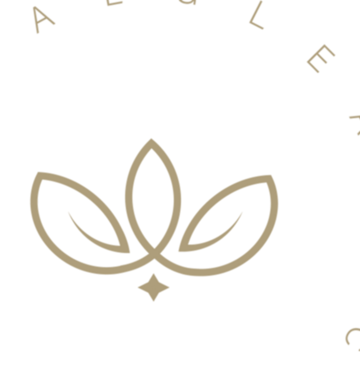 Logo e Variaveis-08.png
