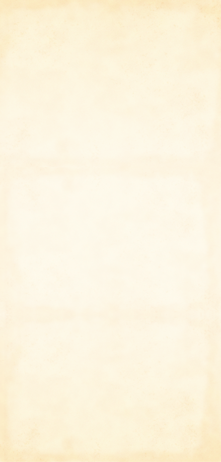 bg.png
