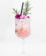 Alice Fizz Dealers de Saveurs