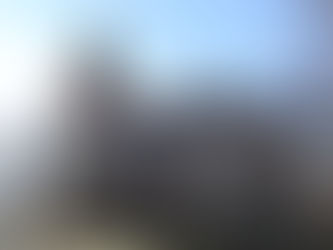 Палац сім’ї Грім у Нижанковичах