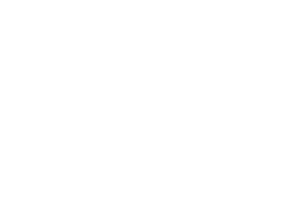 Novo Nordisk  logo