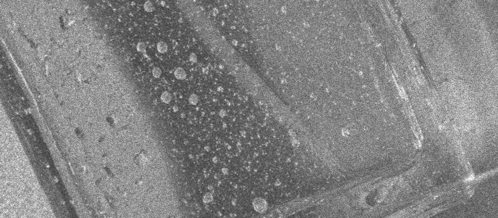 Cultivating Biological Energy Using Scents