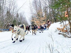 One Tank Trip: New Hampshire- Winter