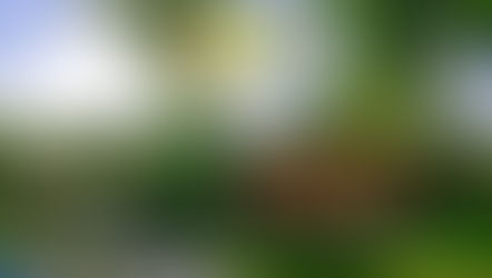 Novo Convênio: Pousada Terra Madre (Ilhabela)