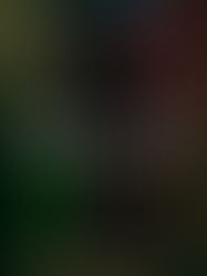 最新ご予約状況/当日予約不可 前日迄予約