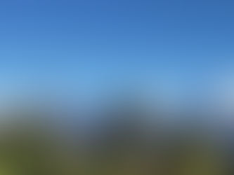 Wanna Trek? Visit Chopta