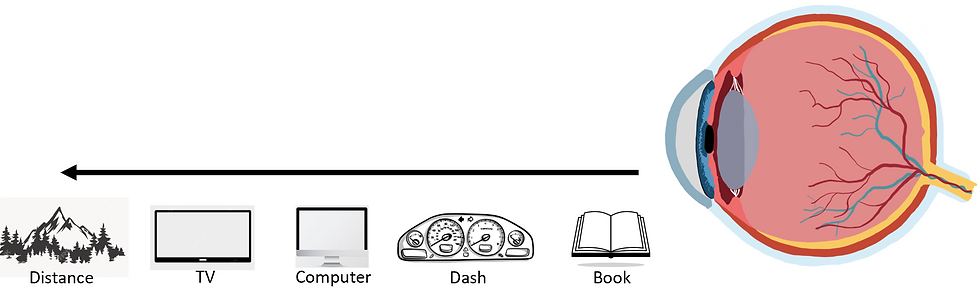 The focal distance of a single vision distance lens.