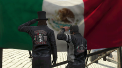 LCMC-MX