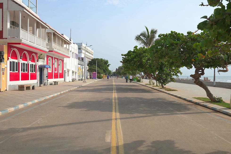 Quiet Goubert Avenue beside Promenade Beach with French colonial facades and coastal trees in Pondicherry.
