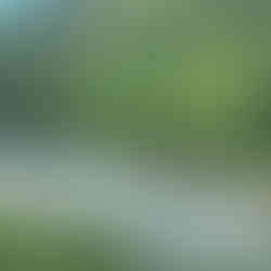 A pulley on iron rope for river crossing, Banjar, Himachal Pradesh