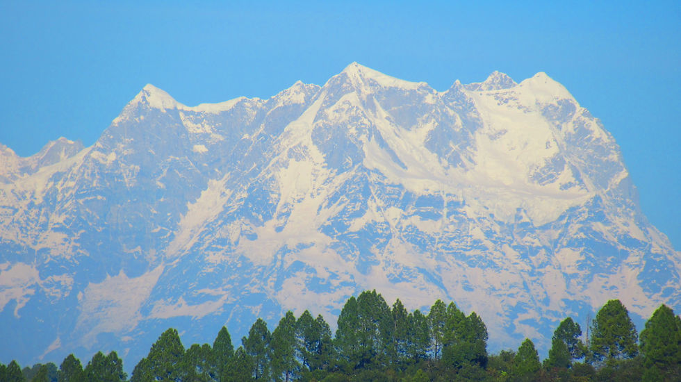 Chaukhamba massif with four snow-covered summits above a ridge of pine trees in Khirsu.