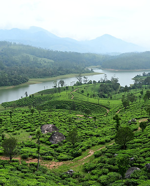 Anayirankal Dam backwaters tea plantation Munnar Kerala hill station eco tourism landscape photography travel expert.