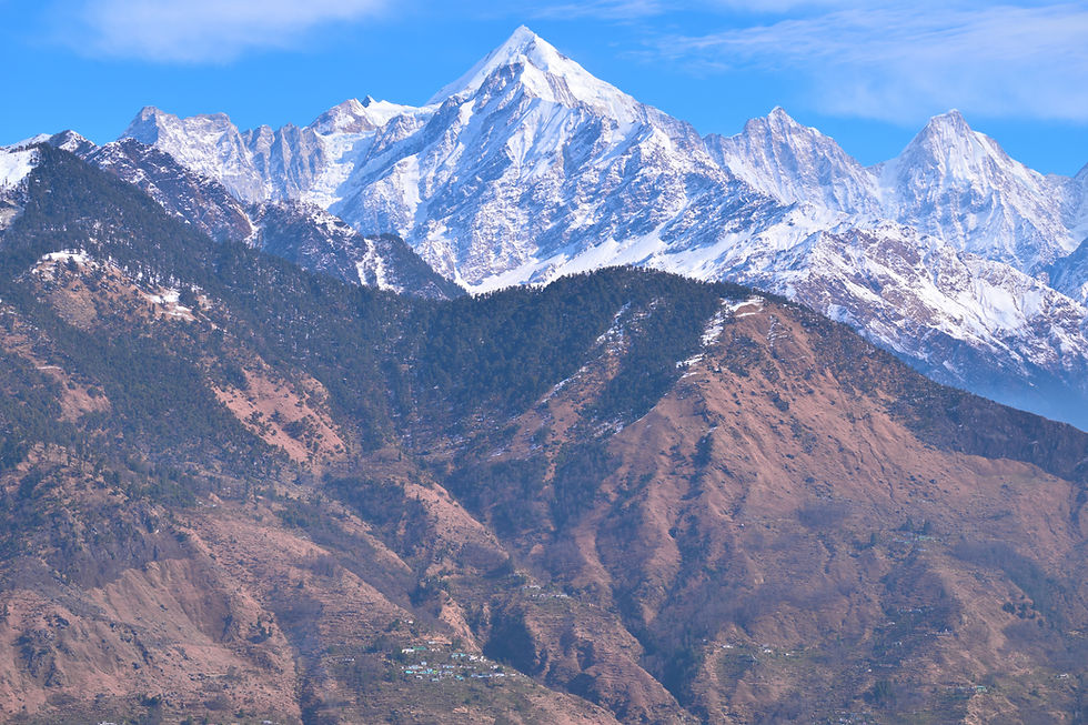 Panchachuli peaks rising above barren and forested ridges near Munsiyari in the upper Kumaon Himalaya during winter.