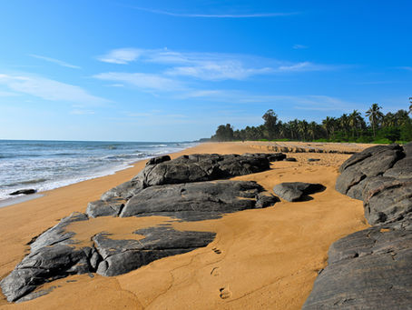 Scenic view of Kodi Beach in Bekal, Kasaragod, Kerala, India, featuring large rocks, towering coconut trees, and gentle waves lapping against the golden shoreline, creating a peaceful coastal landscape. Shot on Nikon Z8.