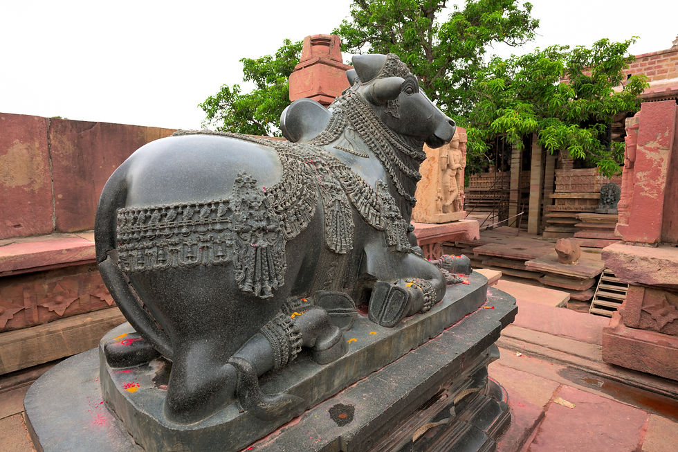 Polished basalt sculpture of an alert Nandi bull with ears raised and limbs gathered beneath its body.