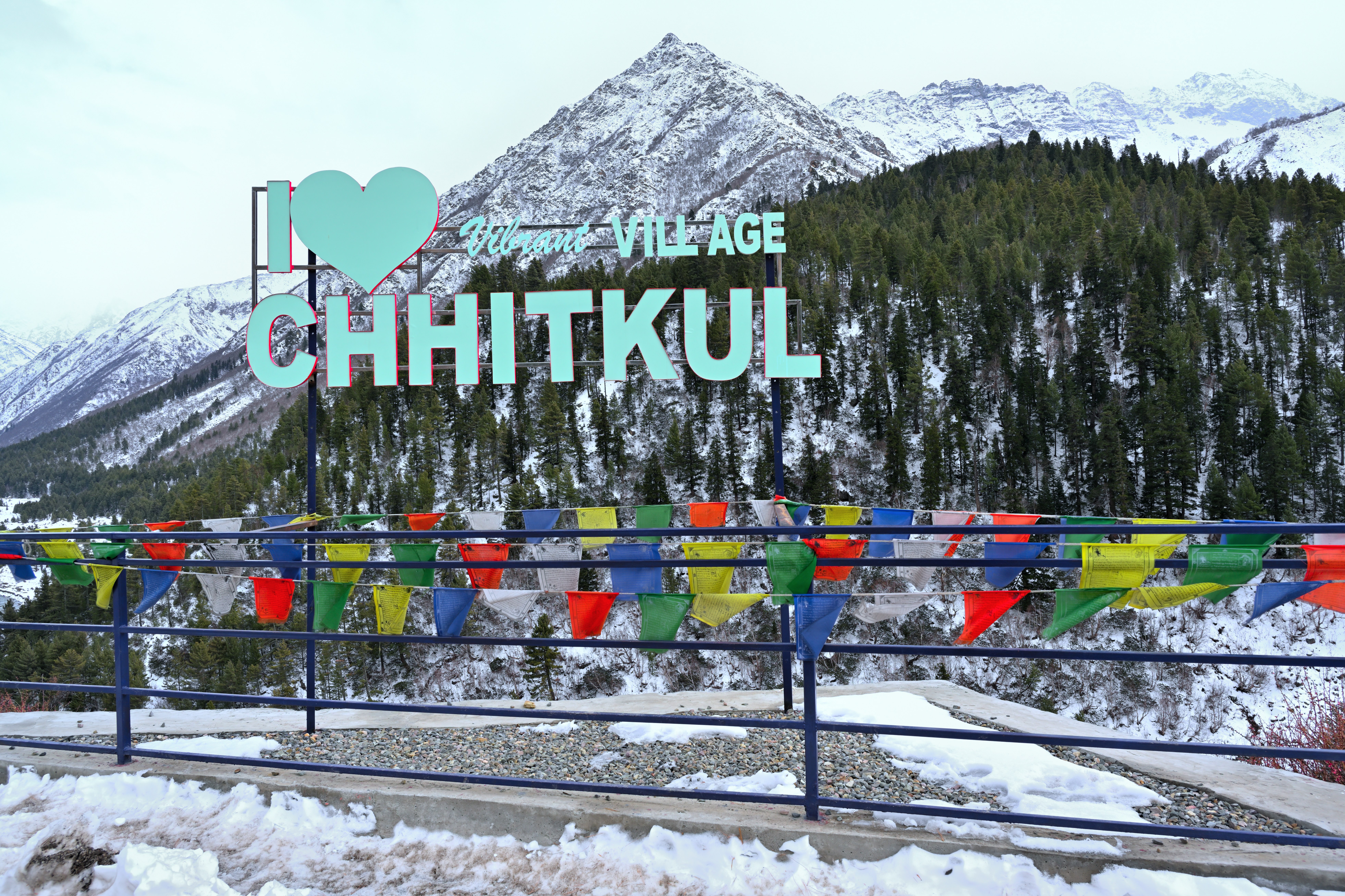 【超希少】COUNTRY KKOKKO WINTER TRAVELING 超希少】COUNTRY KKOKKO WINTER TRAVELING SNOW DRIVE EXPEDITION