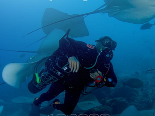 Across Maldives 2026—A Journey Beneath the Surface