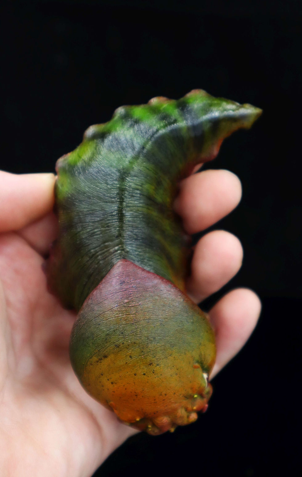 Thumbnail: Cthulhu Chibilizard   Limited edition