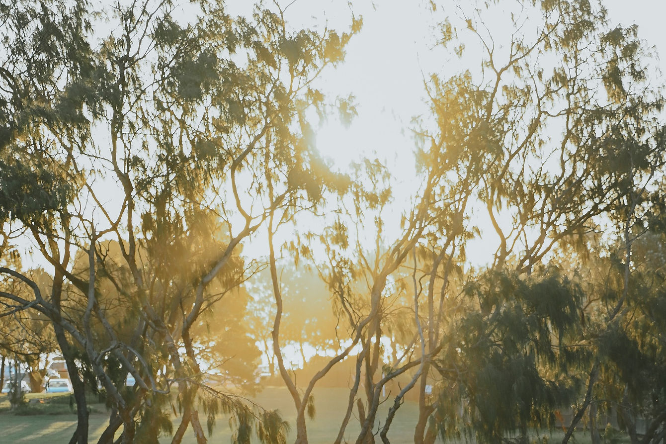 Dreamtime - Nobby's Beach