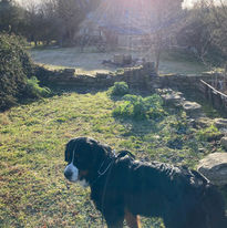 IMG_0227.jpeg