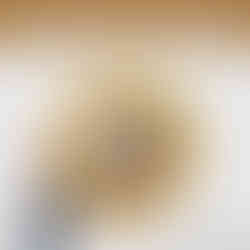 קובץ חיתוך בתשלום כרטיס שייקר לט"ו בשבט