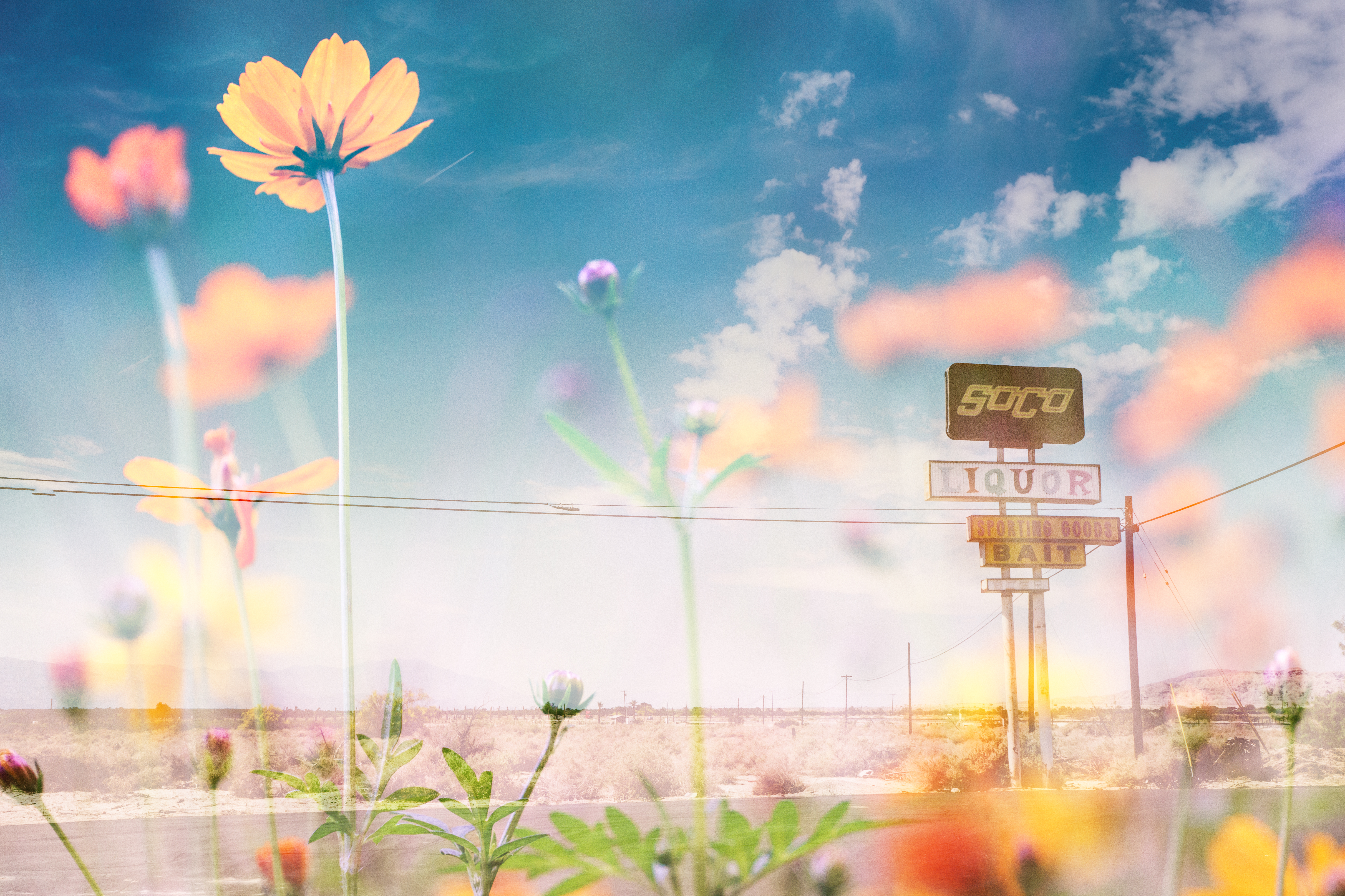 dreaming-1.jpg
