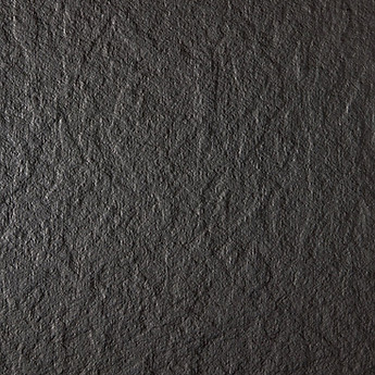 N105ROCHE.jpg