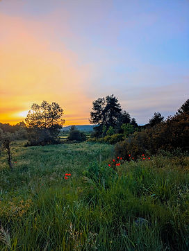 lalbi countryside 2.jpg