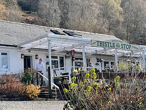 Jaggy Thistle Food Stop