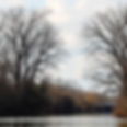 trees along the Missouri River in Brownville, Nebraska.jpg