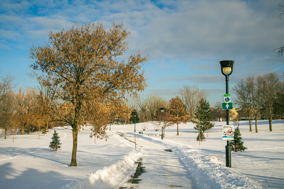 sans titre (9 sur 11).jpg