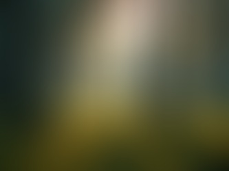 Photographies Artistiques de la Nature par Paul C Veilleux