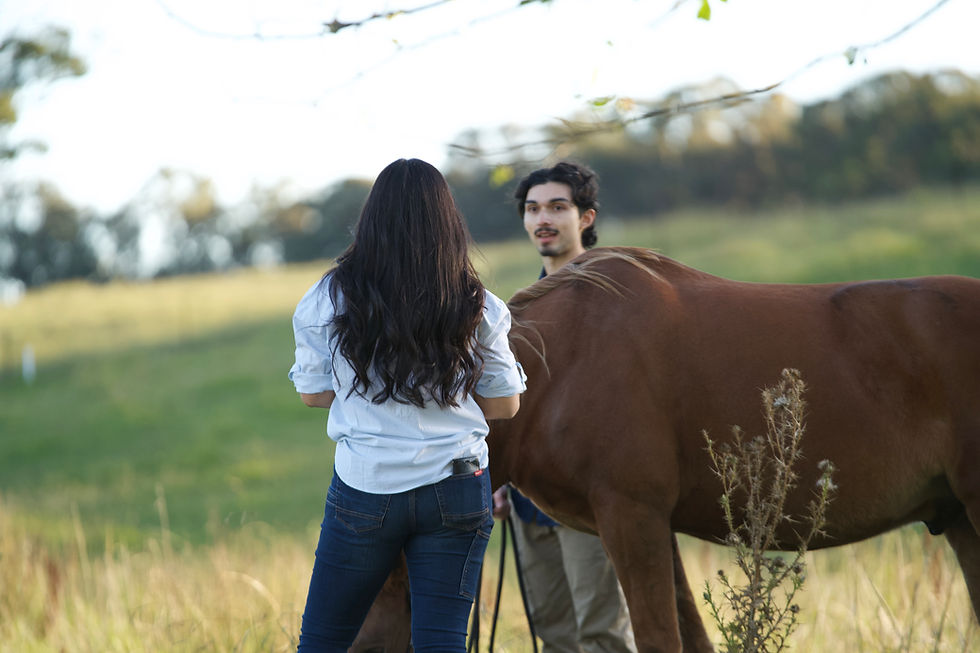 Introducing Brumby Counselling & Wellbeing