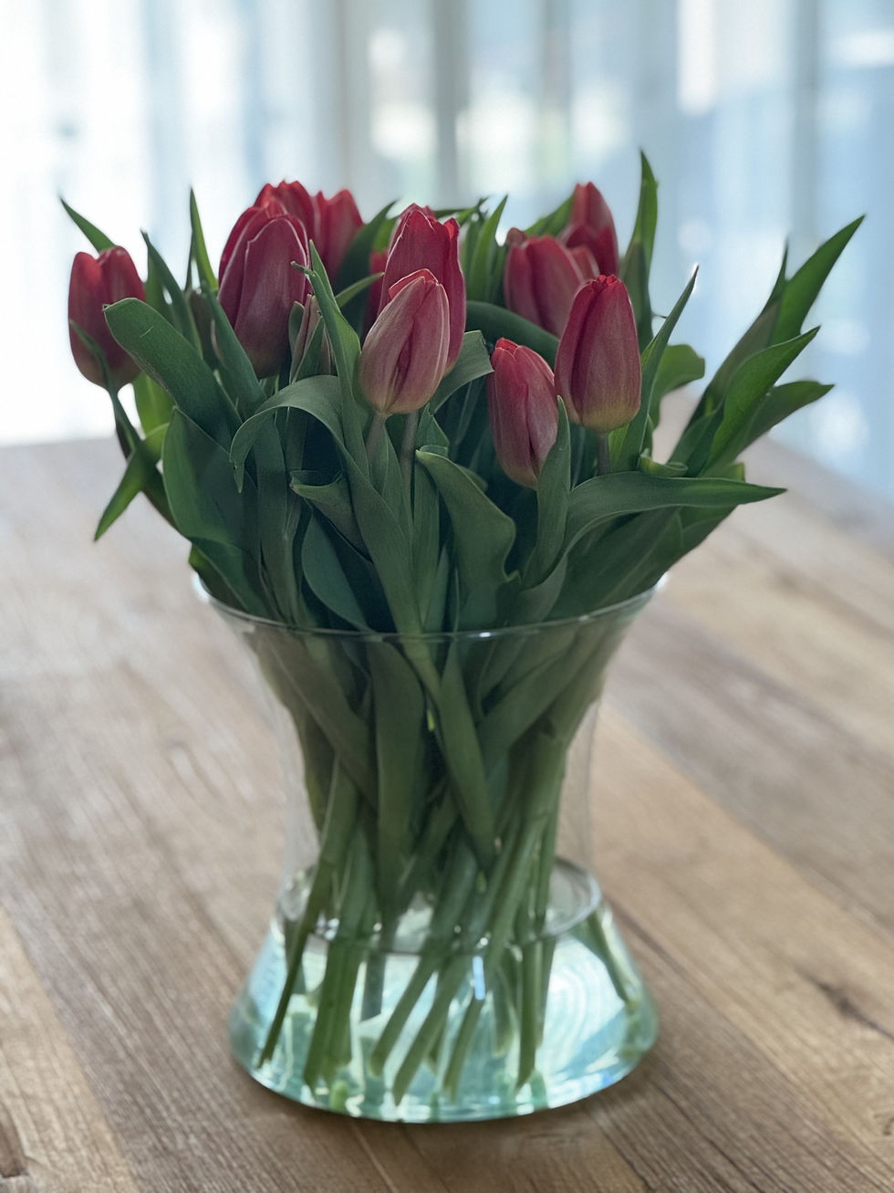 🌷 Een stukje Nederland in Zwitserland