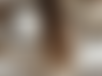 A woman working productively on a computer.