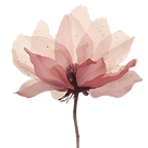 Blush Flower