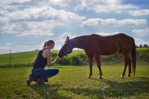 Jana Schöpper mit Coaching Pferd. Harmonisches Bild - Pferd berührt Jana an der Hand, sie kniet vor dem Pferd.