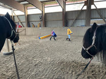 Kids Coaching_Major&Maximus_Kids Courses_Family