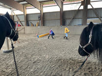Kids Coaching_Major&Maximus_Kids Courses_Family