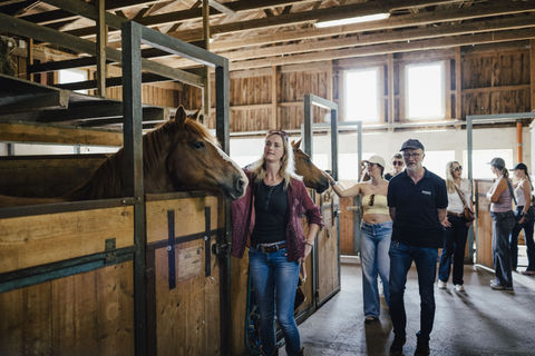 Eine Gruppe besichtigt den Stall der SaddleUp Location, Reiterhof Krebs. Ein Coaching Pferd schaut aus der Box heraus. 