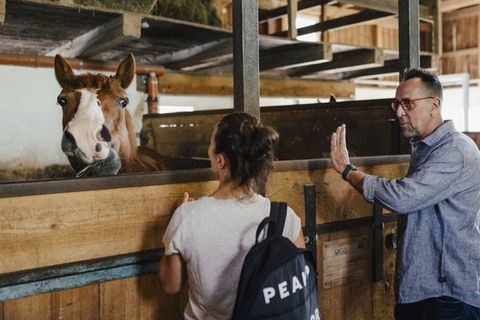 Coaching Pferd schaut interessiert über Box. Robert Krebs, Hofbesitzer steht und erklärt etwas über das Pferd zu Coaching Teilnehmerin. 